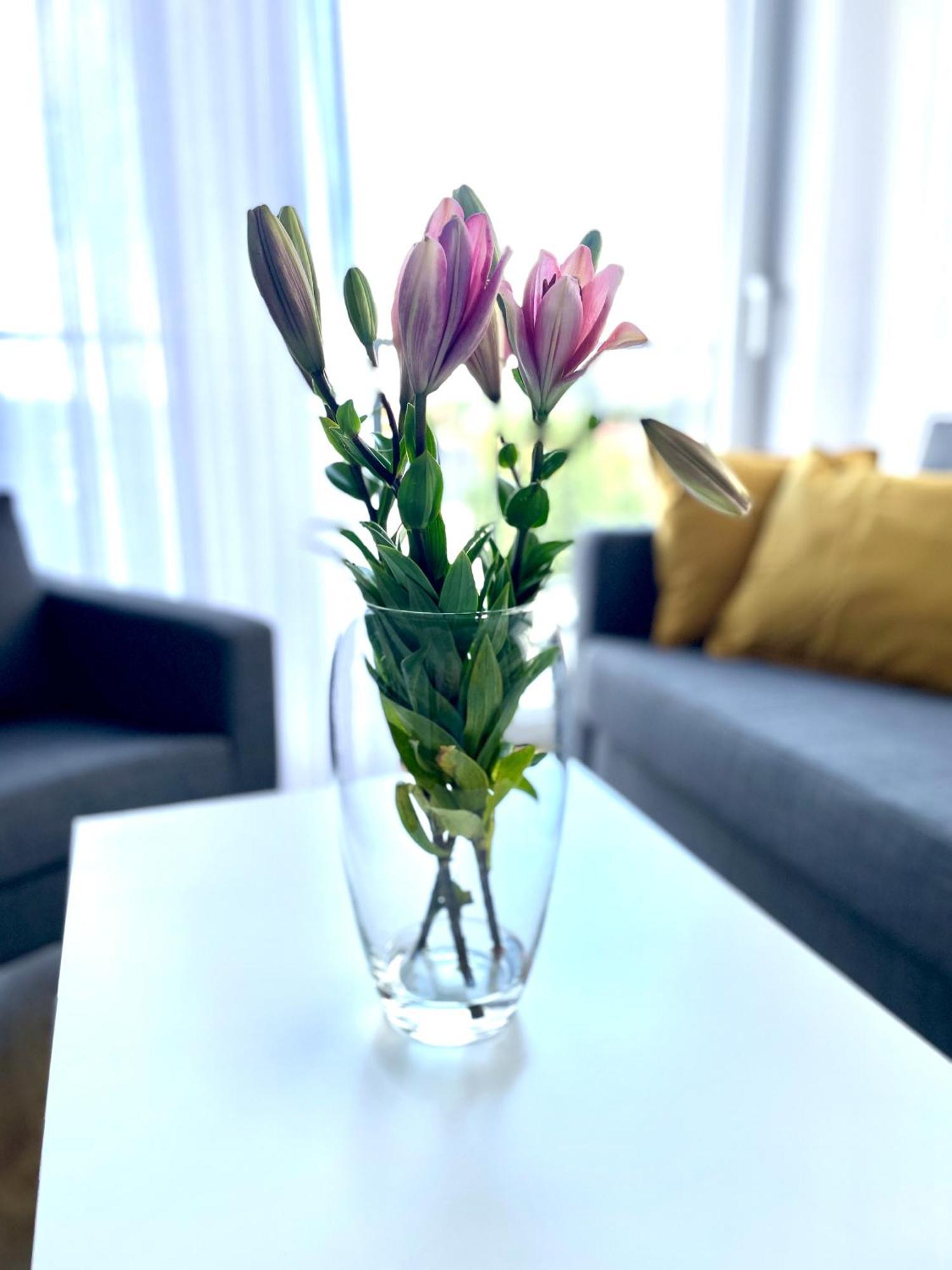 Sonja Apartment